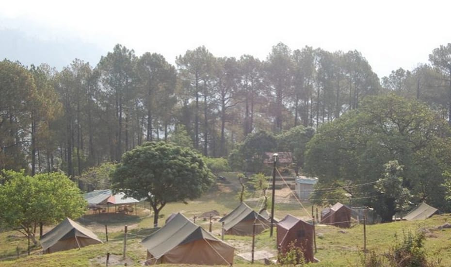 Jungle Camp Dhura Nainital